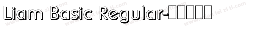 Liam Basic Regular字体转换